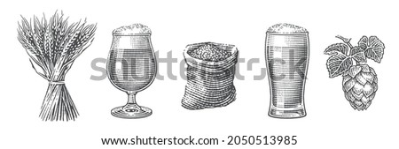 Beer set. Barley malt in burlap bag, sheaf of barley, hops and two beer pints. Hand drawn engraving style illustrations.