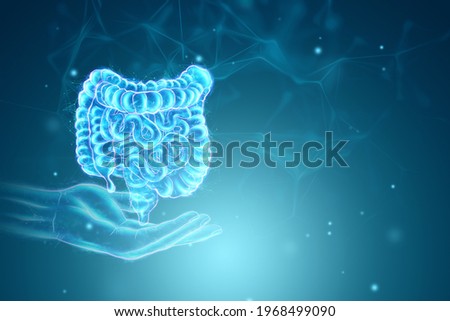 A holographic projection of a scan of the intestine on a blue background. Concept of new technologies, bowel disorder, body scan, digital x-ray, modern medicine. 3D illustration, 3D render 商業照片 © 