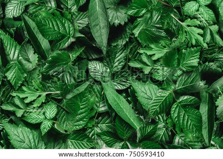 Image, Stock Photo Wet garden table made of rustic wood covered with light frost