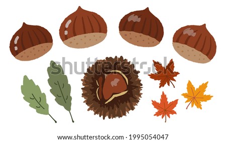 Chestnut and maple hand-painted illustration set
Image of autumn