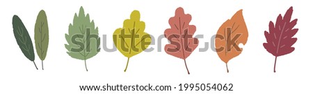 Hand-drawn style illustration of autumn leaves
Image of autumn