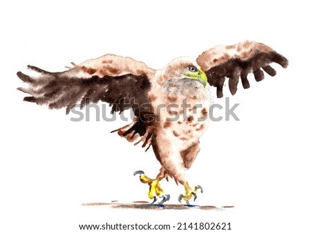Watercolor Funny Bald Eagle Painting Illustration