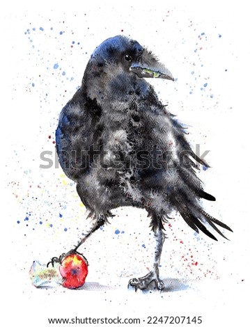 Watercolor Cute Crow Eating Apple Painting Illustration