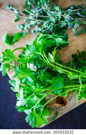 Fresh herbs on a cutting board: cilantro and oregano