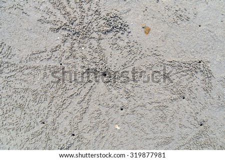 art of sand design by small crab on the beach