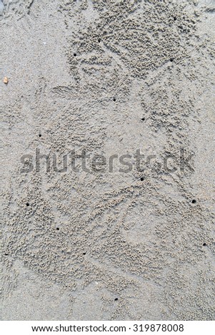 art of sand design by small crab on the beach