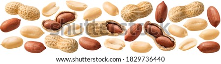 Peanut set isolated on white background. Whole and shelled groundnuts. Package design element with clipping path
