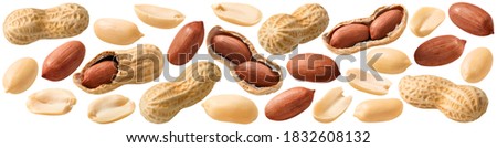 Big peanut set isolated on white background. Groundnuts shelled and in nutshell. Package design element with clipping path