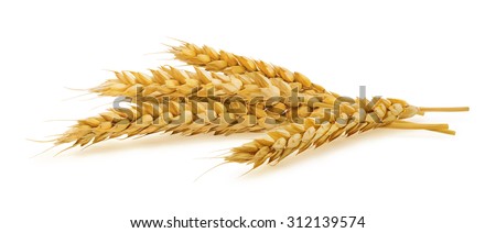 Horizontal wheat ears isolated on white background as package design element Stock foto © 
