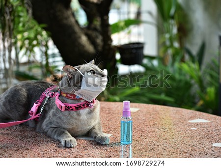 Image, Stock Photo gap Sneezing Contagious