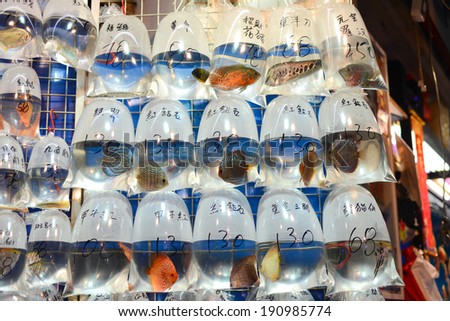 goldfish for sale at a market