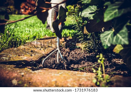 Soil raking. The concept of caring for the garden, the beauty of the garden. Allotment season. Support for work in the garden. Removing grass from the soil. Photo stock © 
