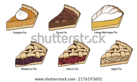 Set of pies or collection of homemade pies drawing, piece of hand drawn pie slice in vector.
