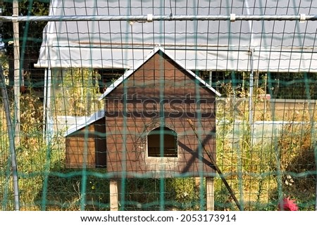 Foto Bild Hühner hinter dem Zaun in einem Hühnerstall. schwarz-weißes Huhn in kleinem Käfig