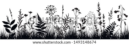 Abstract background with black silhouettes of meadow wild herbs and flowers. Wildflowers. Field. Floral background. Wild grass. Vector illustration.