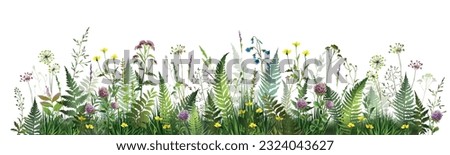 Colorful summer field with fern leaves, meadow herbs and flowers. Vector illustration. 
