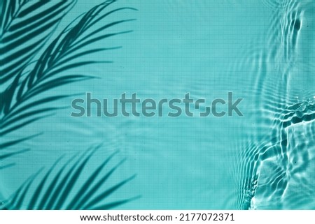 Similar – Image, Stock Photo Shade sea of leaves trees