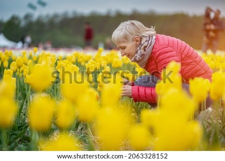 Similar – Image, Stock Photo Woman smells red tulips