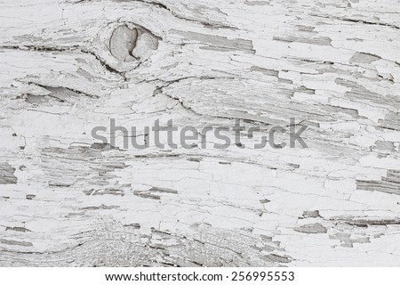 Gray wooden background of weathered distressed rustic wood with faded white paint