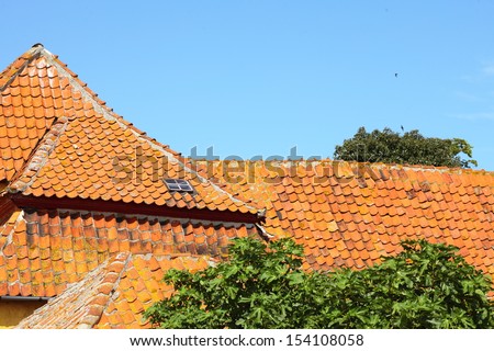 Red roofs of House on Christiansoe island Bornholm in the Baltic Sea Denmark Scandinavia Europe
