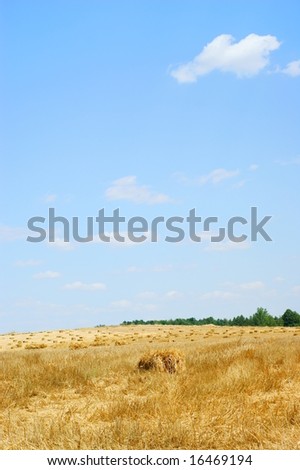 Haystack in a wheat field - harvest - blue sky