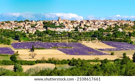 Hilltop Puimoisson village in France. Provence landscape with purple lavender fields. Plateau Valensole, Alpes de Haute Provence. Stok fotoğraf © 