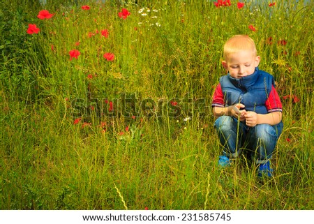 Child playing on green meadow examining field flowers. Environmental awareness education.
