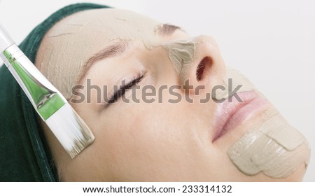 Beauty treatment concept. Woman relaxing in spa salon. Cosmetician applying clay facial mask at female face. Body care healthy lifestyle.