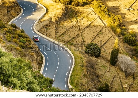 Image, Stock Photo Way to the vineyards with tree