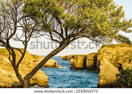 Similar – Image, Stock Photo Coastal landscape. Las Playas Natural Monument. Valverde. El Hierro. Canary Islands. Spain.