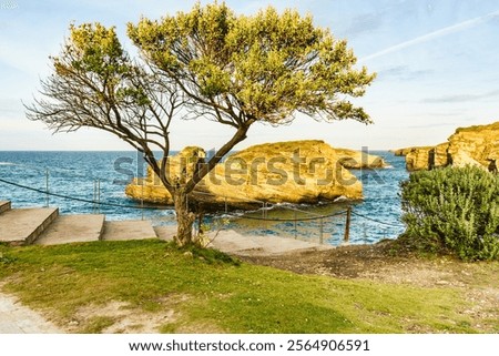 Similar – Image, Stock Photo Coastal landscape. Las Playas Natural Monument. Valverde. El Hierro. Canary Islands. Spain.