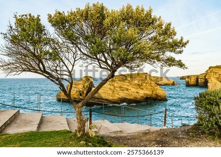 Image, Stock Photo Coastal landscape. Las Playas Natural Monument. Valverde. El Hierro. Canary Islands. Spain.