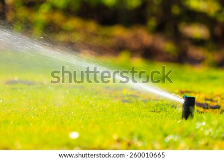 Gardening. Lawn sprinkler spraying water over green grass. Irrigation system - technique of watering in the garden.