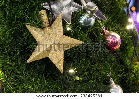 Christmas, gold star on christmas tree branch, lights hanging in a tree