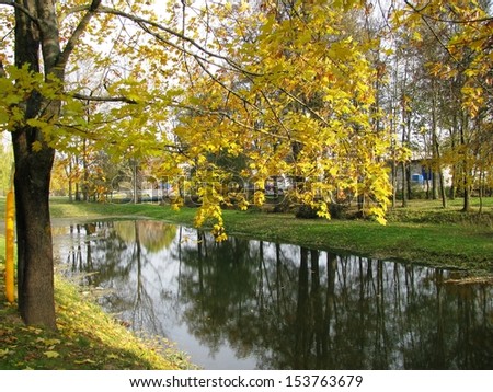 Autumn Landscape: tree with yellowing leaves above the river