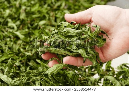 Similar – Image, Stock Photo Mint in Homemade Herb Garden Bed