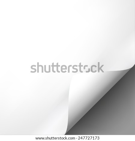 Curled white paper corner mockup template. Vector Illustration EPS10