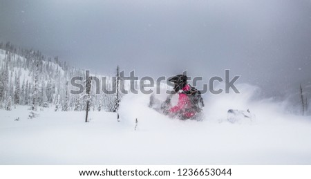 BC Back Country Snowmobiling Photo stock © 