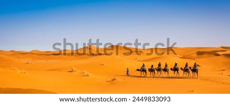 Similar – Image, Stock Photo camels and people going between sand lands in desert in Morocco