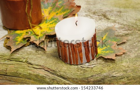 autumn still-life on wooden background to decorate Thanksgiving card