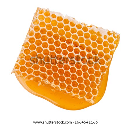 Beeswax honeycomb piece of liquid yellow natural honey isolated on white background