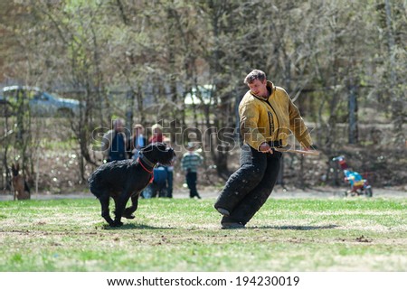 Vologda, Russia - 10 May 2014: Training of guard dog, the moment of the attack, on May 10, 2014 in Vologda, Russia