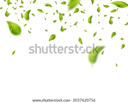 Similar – Image, Stock Photo Sustainable beauty background with massage brushes, bamboo toothbrushes, cosmetic bottles, jade roller and sponge on white background with palm leaves