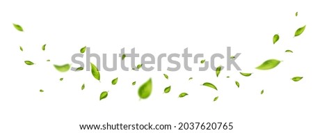 Green flying leaves on long white banner. Leaf falling. Wave foliage ornament. Vegan, eco, organic design element. Cosmetic pattern border. Fresh tea background. Beauty product. Vector illustration.