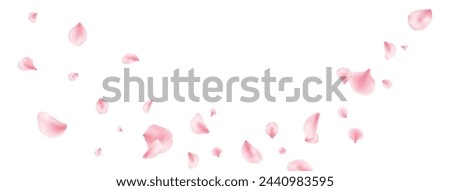 Sakura petal spring blossom on white banner. Pink rose composition. Flower flying background. Beauty Spa product frame. Valentine romantic card. Light delicate pastel design. Vector illustration.