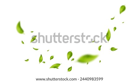 Similar – Image, Stock Photo Sustainable beauty background with massage brushes, bamboo toothbrushes, cosmetic bottles, jade roller and sponge on white background with palm leaves