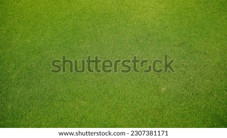 Similar – Image, Stock Photo View into a sports hall through thick wire glass. The goalkeeper can only be glimpsed.
