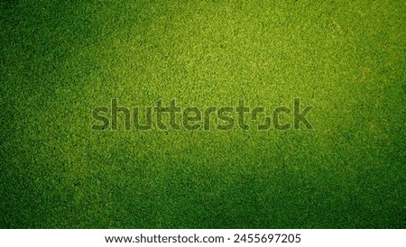 Similar – Image, Stock Photo Top view at green trees of a forest in summer.