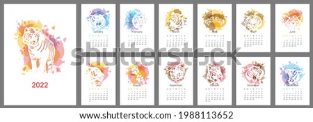 Wall calendar design template for 2022, the year of the tiger in the chinese or oriental calendar. Week starts on Sunday. Set of 12 pages with the image of the tiger. Vector illustration.