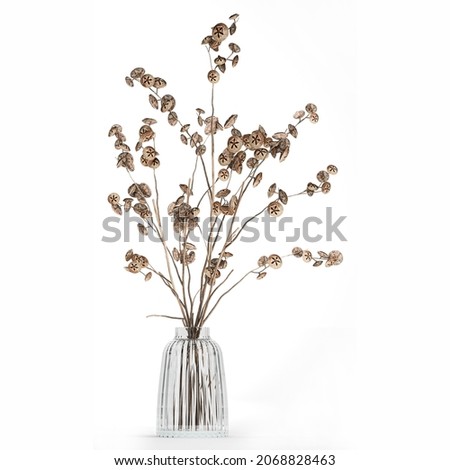 Similar – Image, Stock Photo Dried bouquet of flowers